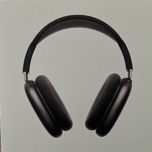 Gray Apple Airdpod Max